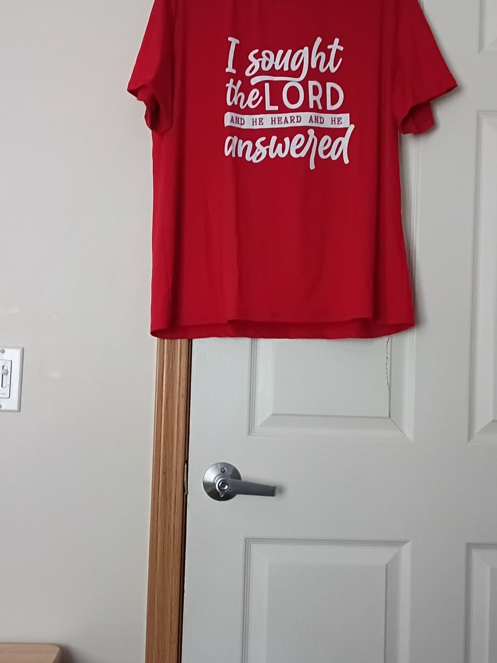 Women's Red Graphic Tee - 'I Sought the Lord'